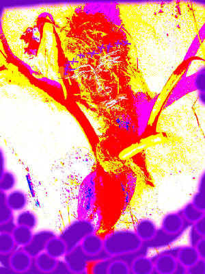 100_1672.JPG