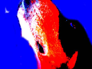 100_1674.JPG