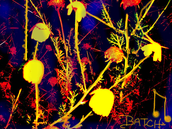 100_1694.JPG
