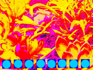 100_1745.JPG