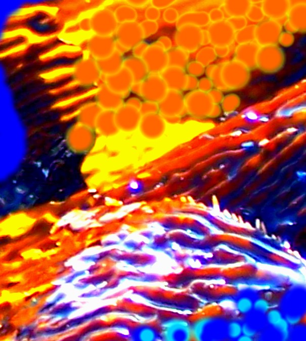 100_1668.JPG